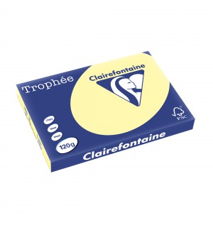 RAMETTE 250F REPRO CLAIREFONTAINE 120G A3 CANARI