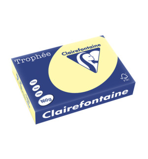 RAMETTE 250F REPRO CLAIREFONTAINE 160G A4 CANARI