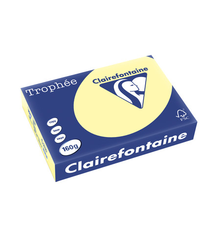 PAP2636-ramette-250f-repro-clairefontaine-160g-a4-canari