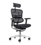 FAUTEUIL ERGOHUMAN LUXURY 2-NOIR-SOUT LOMB-ACC 5D ELEC-APPUI TÊTE  3D