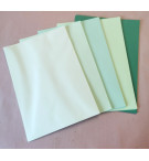 BOITE 100 FEUILLES PAPIER 80G APPLE (5 nuances de vert)  210x297mm A4