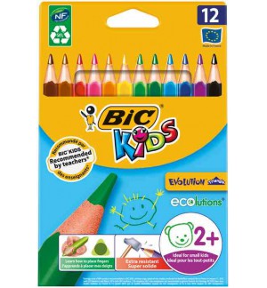 CRAYONS DE COULEUR BIC EVOLUTION GM TRIANGULAIRE - 12 ASSORTIS