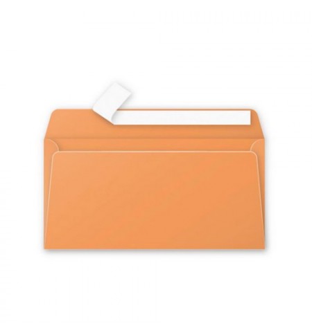 ENV55495-enveloppe-110x220mm-clementine-auto-adhesive-120g---paquet-de-50