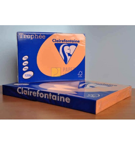 PAP1205-ramette-250f-repro-clairefontaine-120g-a4-clementine