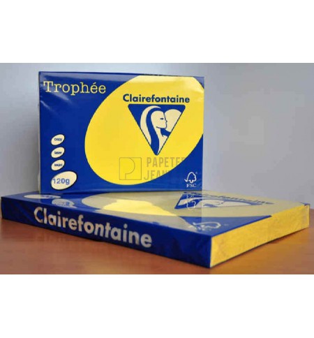 PAP1292-ramette-250f-repro-clairefontaine-120g-a4-jaune-soleil