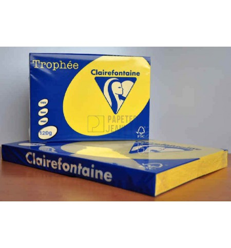 PAP1382-ramette-250f-repro-clairefontaine-120g-a3-jaune-soleil