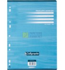 PAP2696-feuillets-mobiles-90g-seyes-21x29-7cm---paquet-de-100f-200p