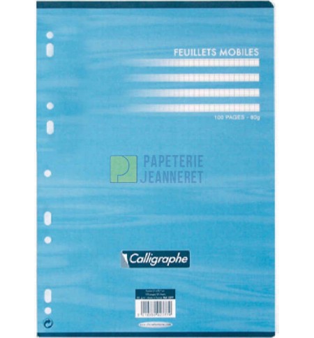 PAP2696-feuillets-mobiles-90g-seyes-21x29-7cm---paquet-de-100f-200p