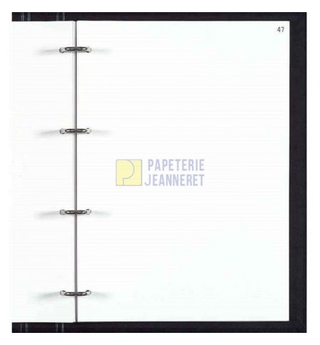 REG541-feuillets-mobiles-foliotes---paquet-de-100