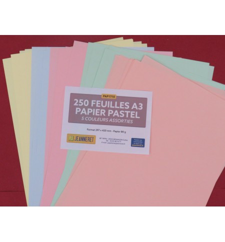 PAP1710-ramette-5x50f-repro-80g-a3-couleurs-assorties-pastel