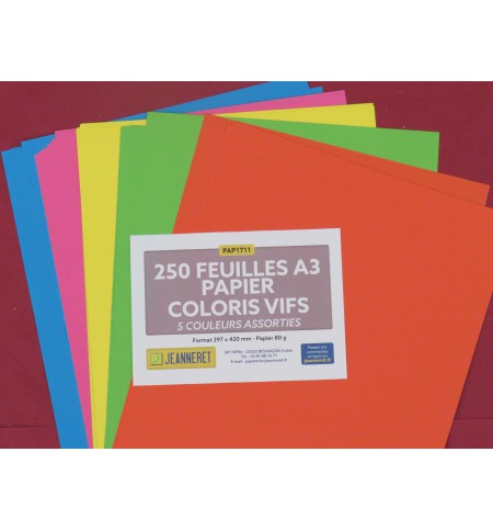 PAP1711-ramette-5x50f-repro-80g-a3-couleurs-assorties-vives